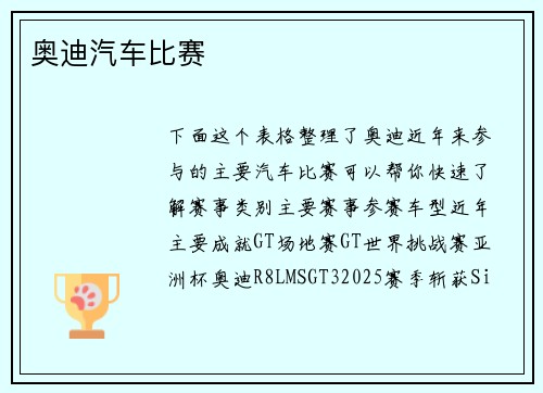 奥迪汽车比赛